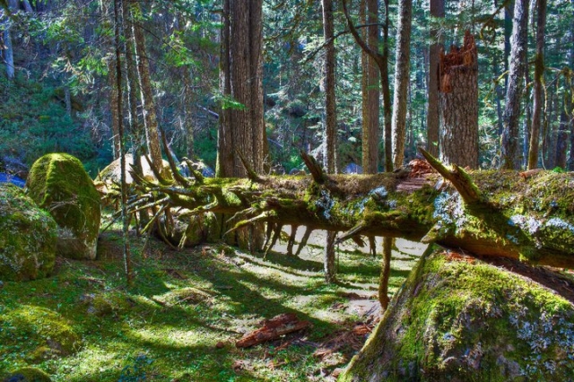 普恩特西利亚斯的自然风光 
